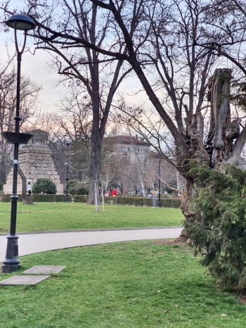 Le Jardin des docteurs