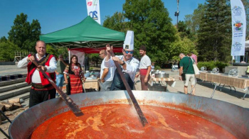 Festival de la tomate rose