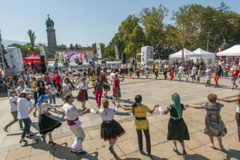 Festival de la tomate rose